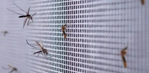 Bedroom Interior Design